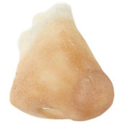 Grimas Latex Normal Nose Grimas Latex Normal Nose
